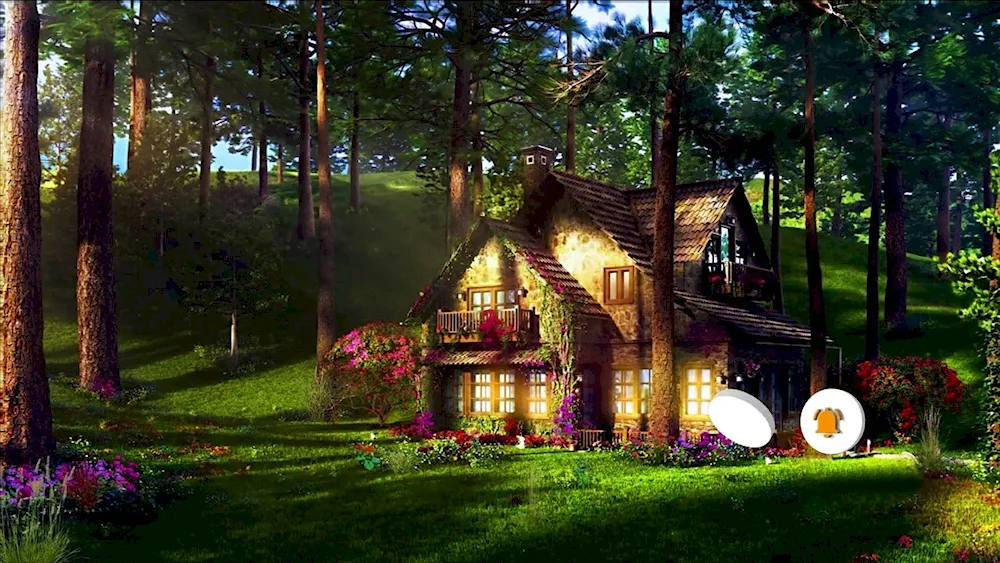 Forest House cabin