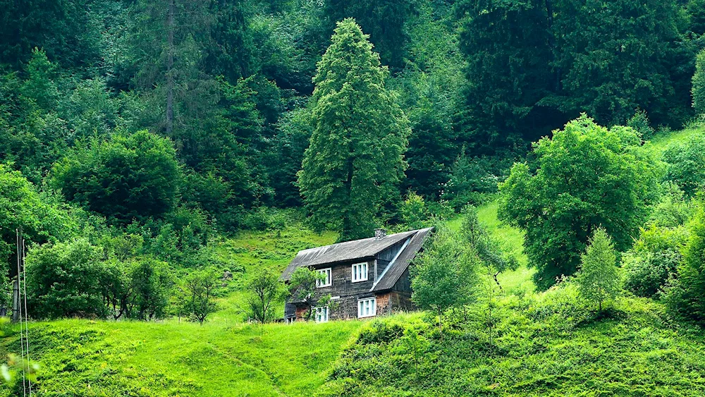 Garden House landscape