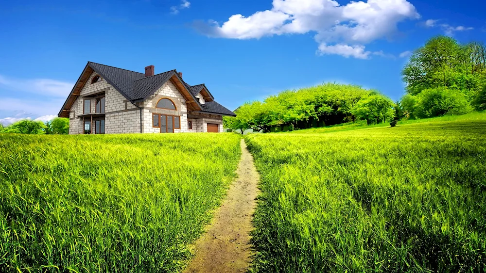 House in the field