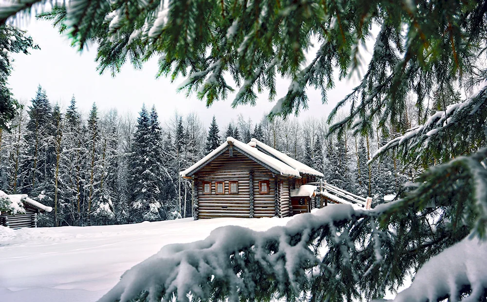 A house in the woods in winter