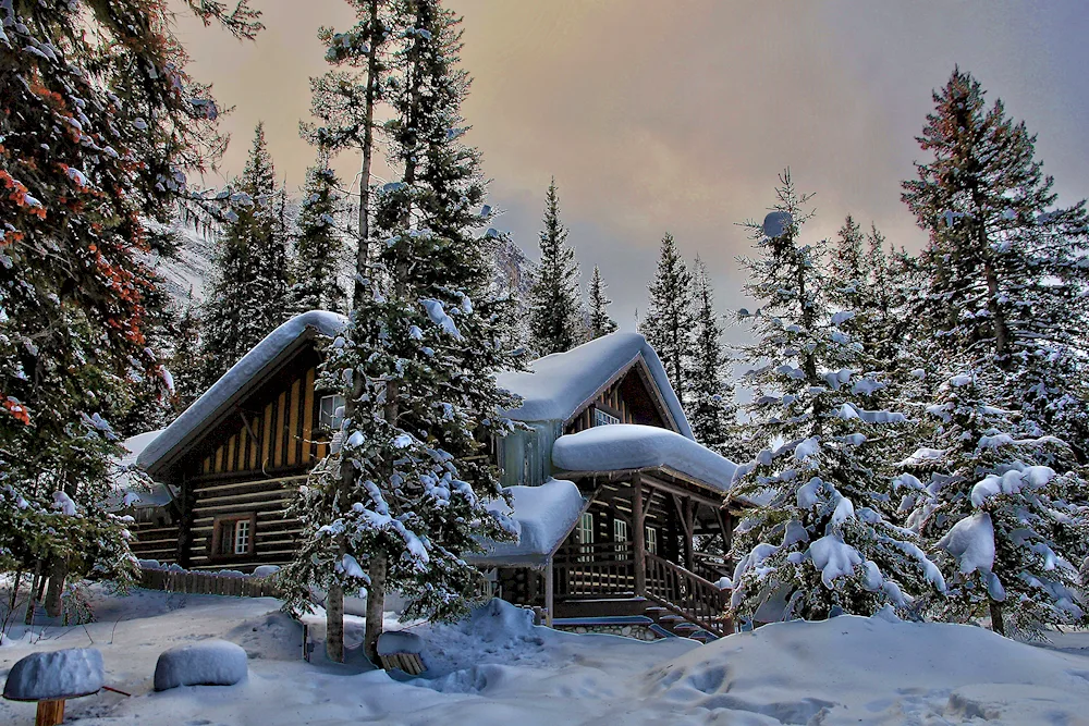 A house in the woods in winter