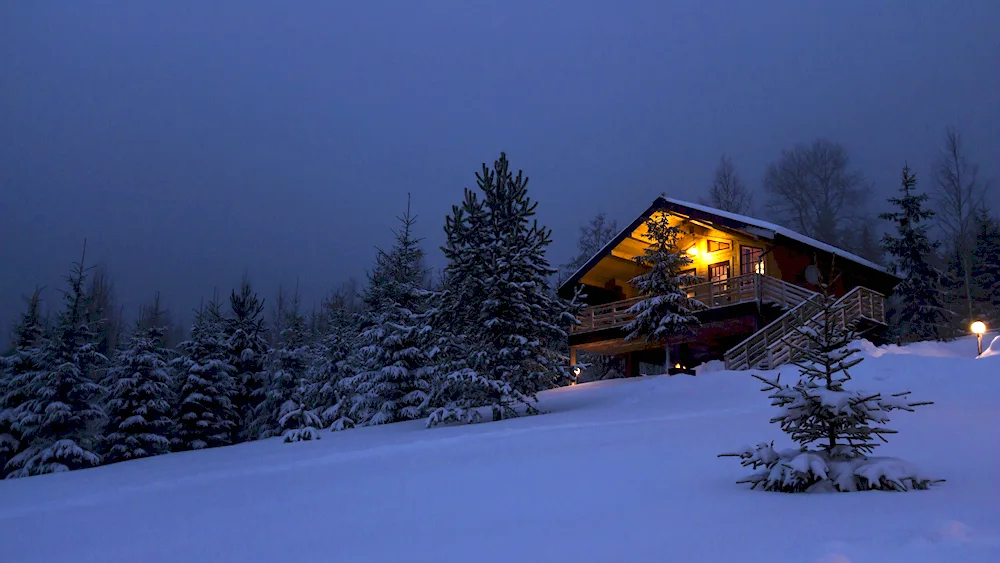 Cottage in the city winter forest