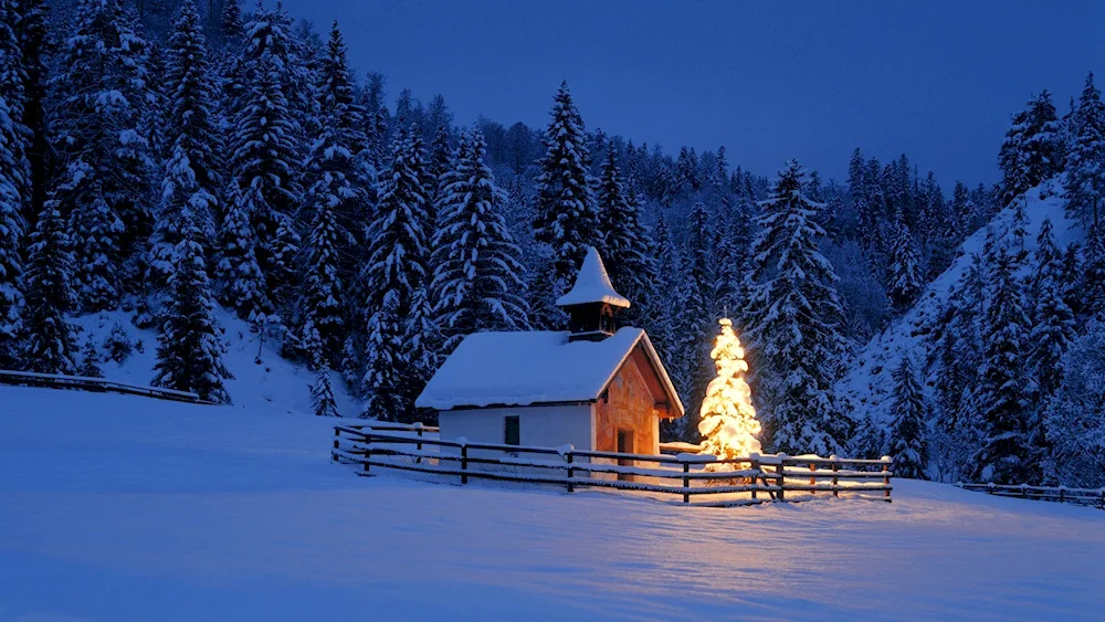 Winter lodge in winter forest