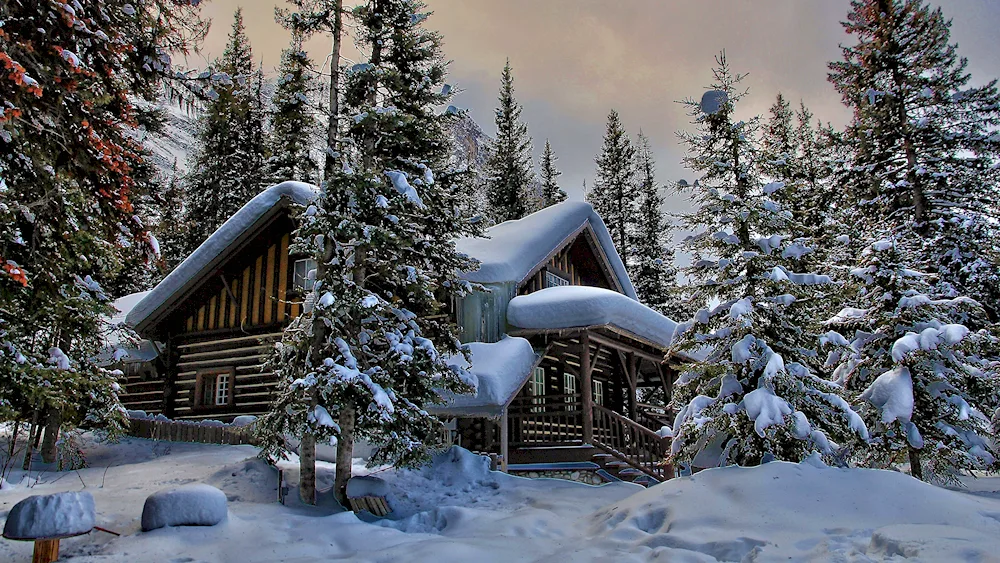 Winter forest cabin
