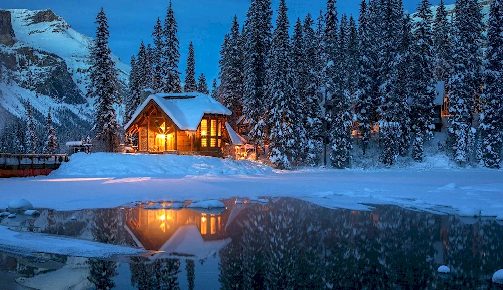 Winter forest cabin