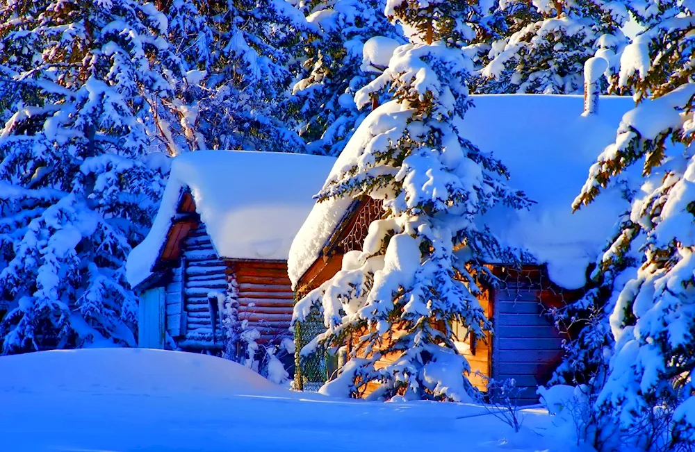 Shirakawa Go Village in winter