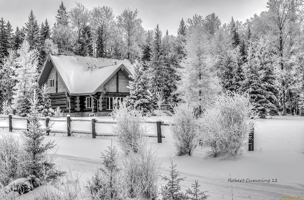 Black and white winter