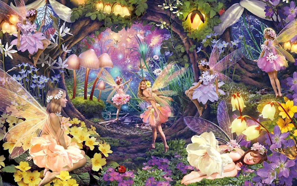 Doreen Wurche. The magical kingdom of fairies