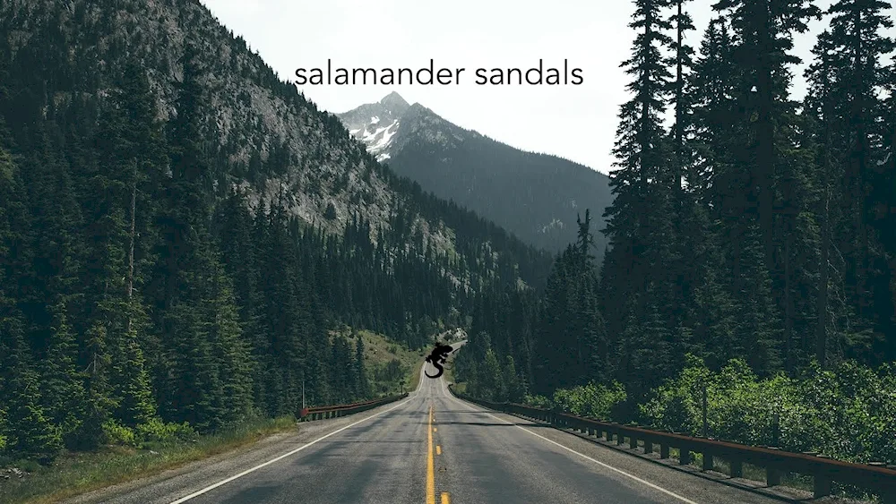 The road forest mountains