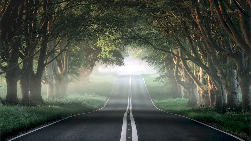 Summer road