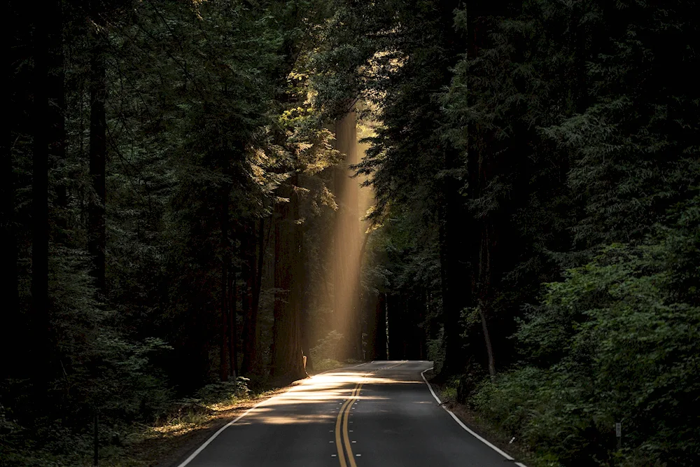 A car road