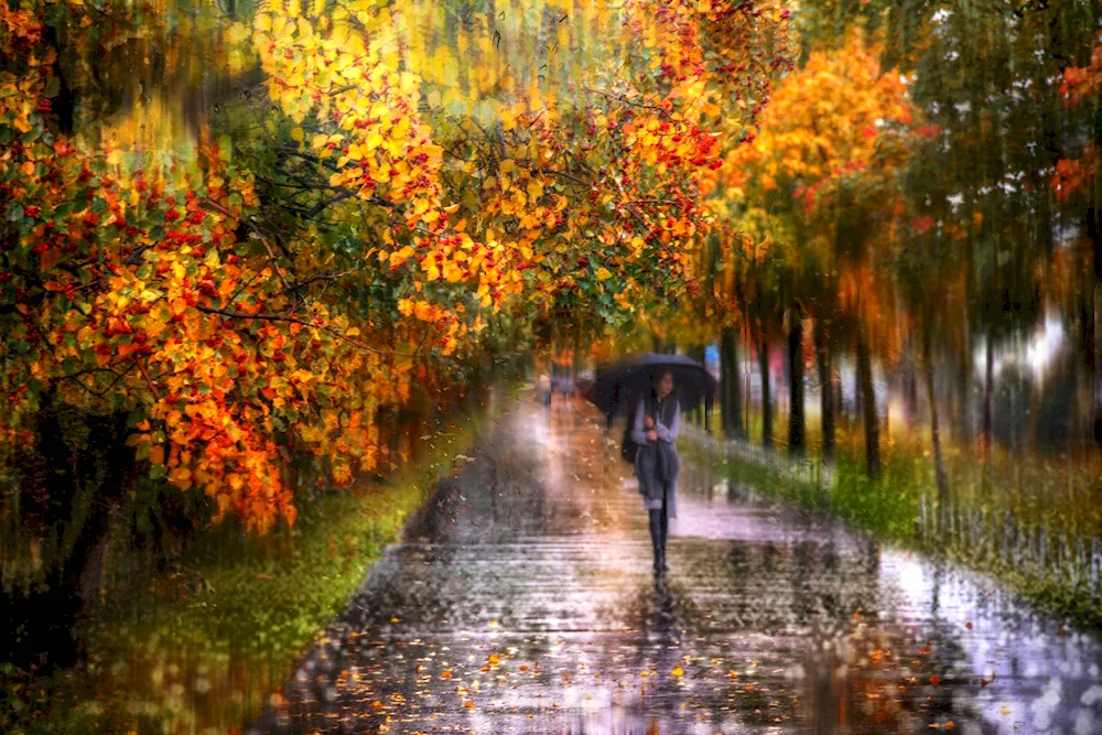 Autumn rain