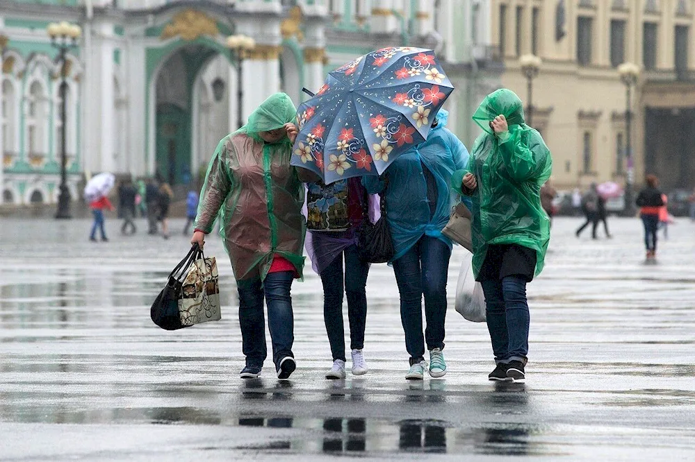 Rain in St. Petersburg