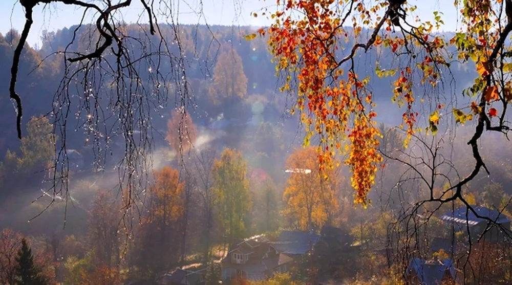 Rainy autumn