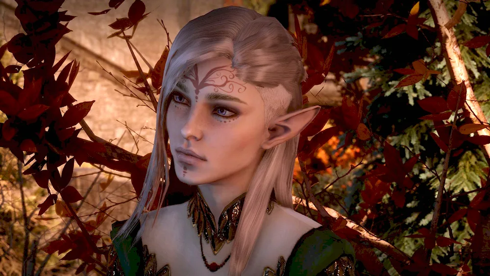 Dragon age elven