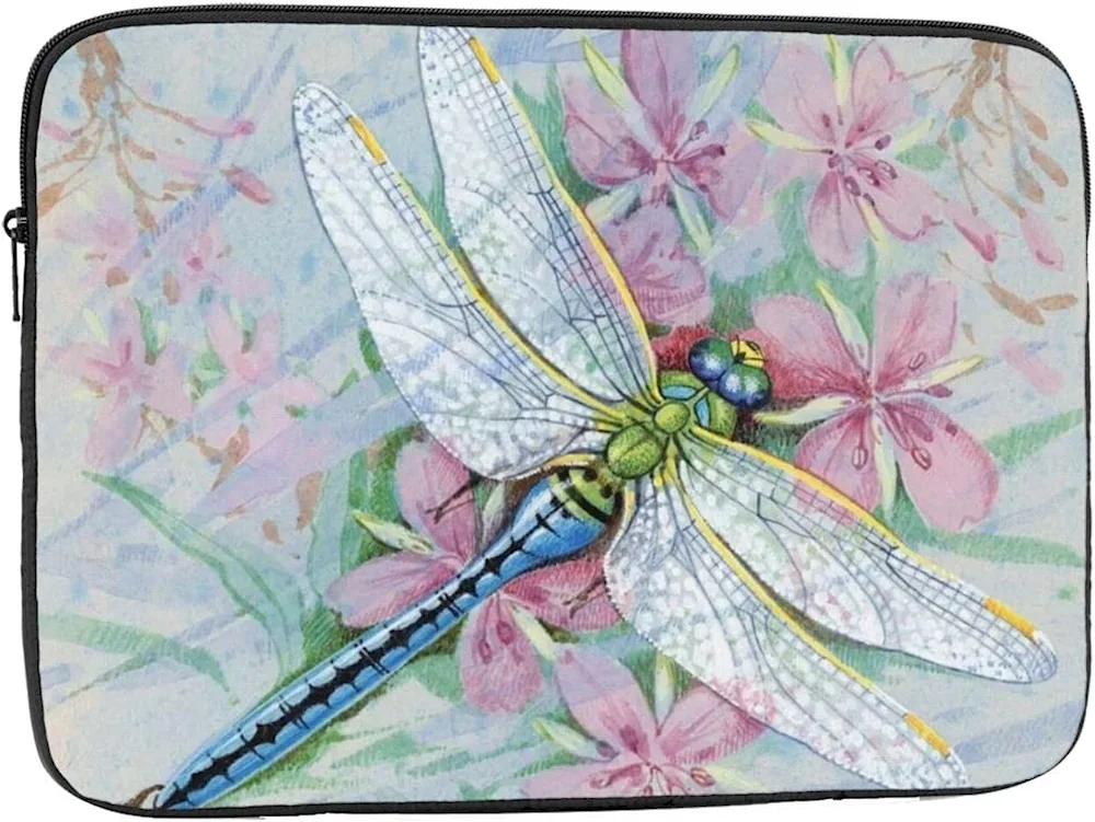 Dragonfly art