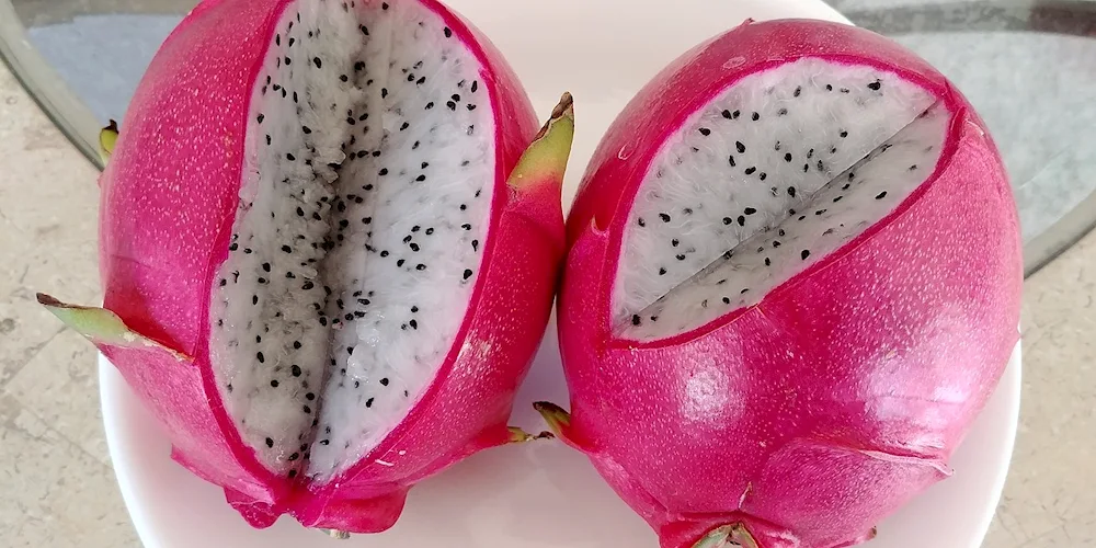 Dragonfruit