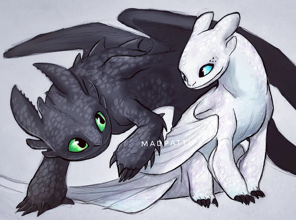 Drawing pictures of Toothless Dragon for drawing