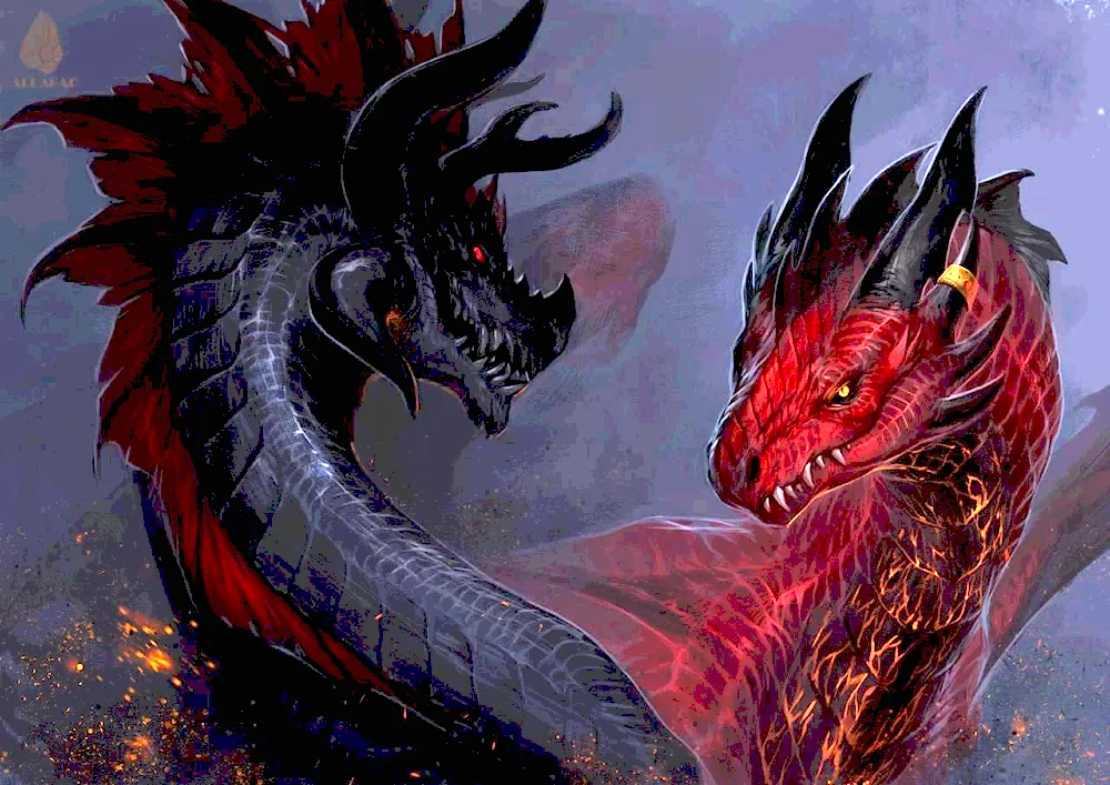 Black dragon