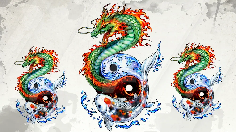 Phoenix dragon China Yin Yang Dragon Japan Yin Yang Dragon