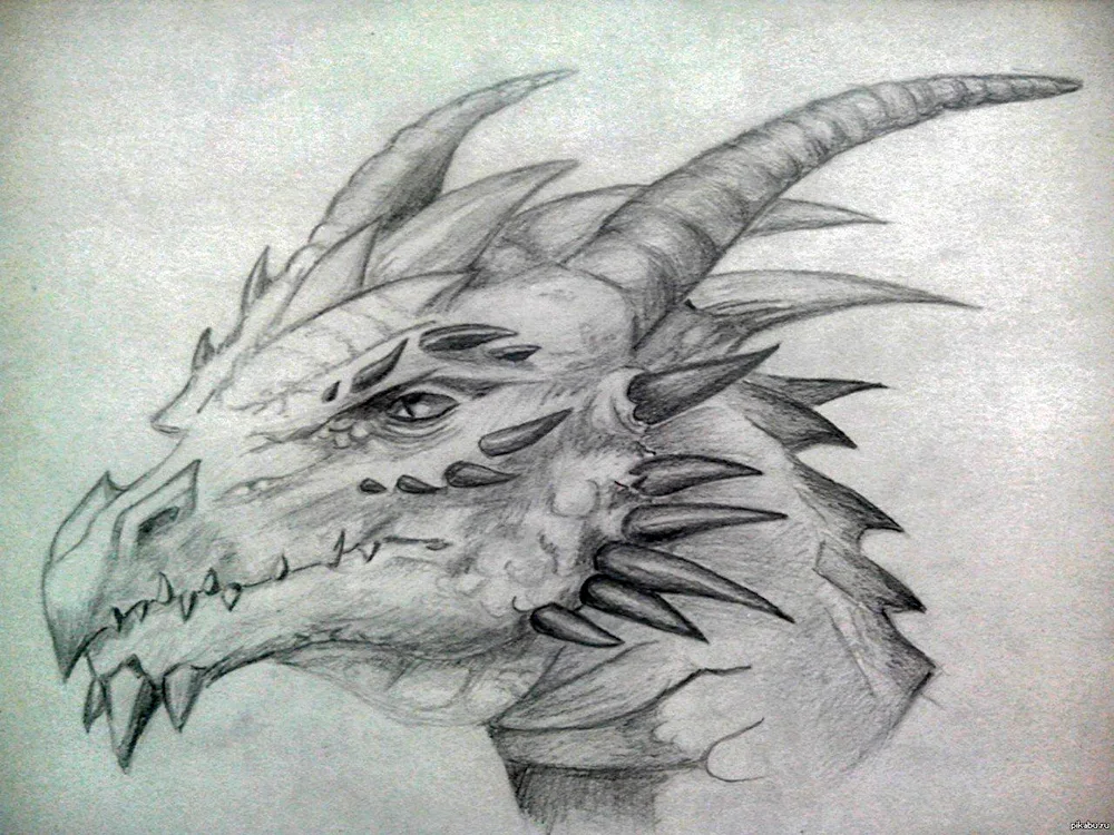 Dragon pencil drawing