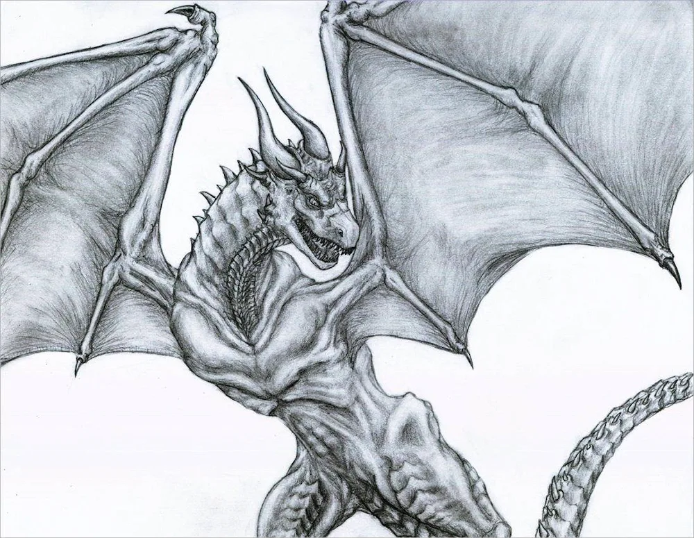 Dragon pencil drawing