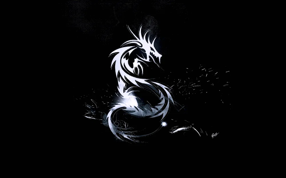 Dragon on black background