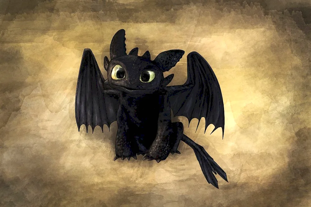 Night Fury Toothless Fury