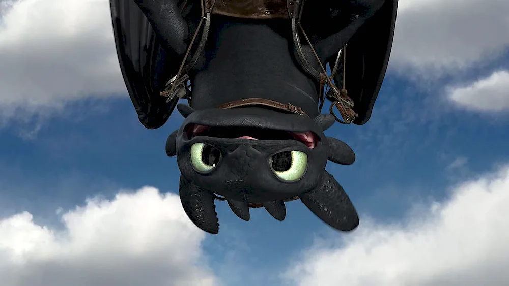 Dragon Night Fury Toothless Fury