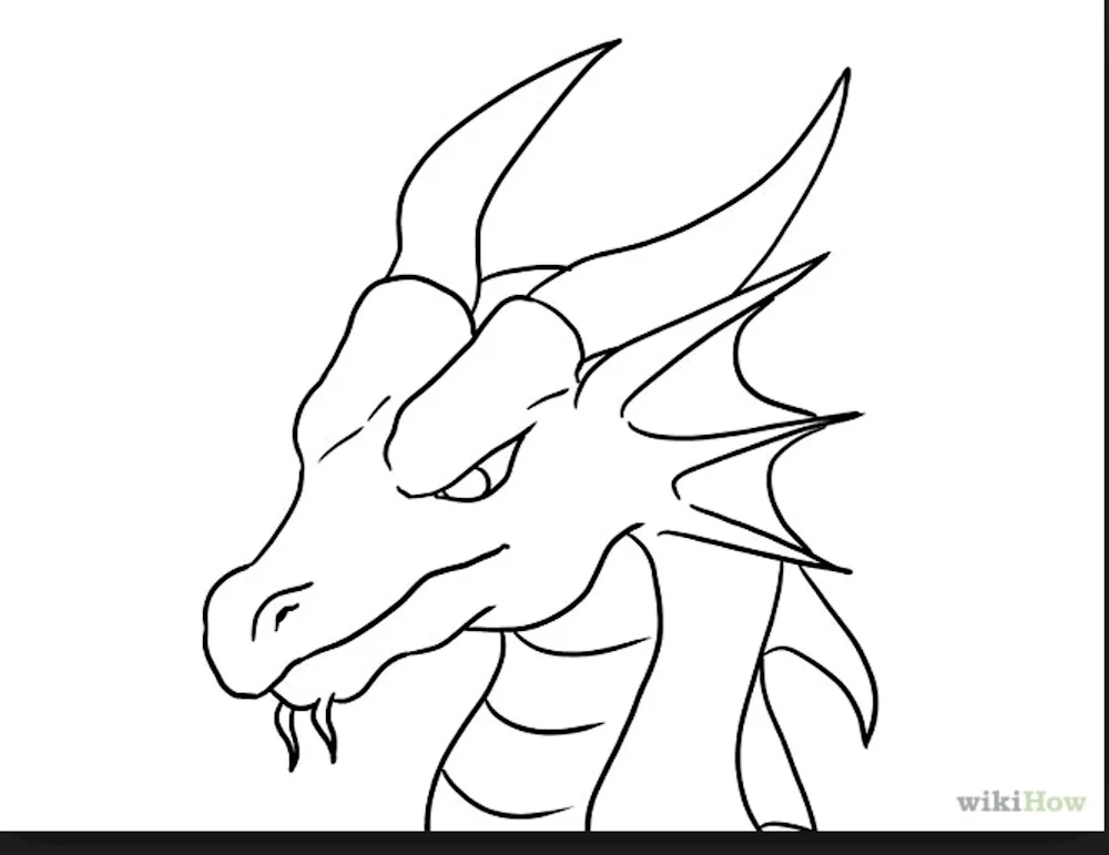 Dragon drawing