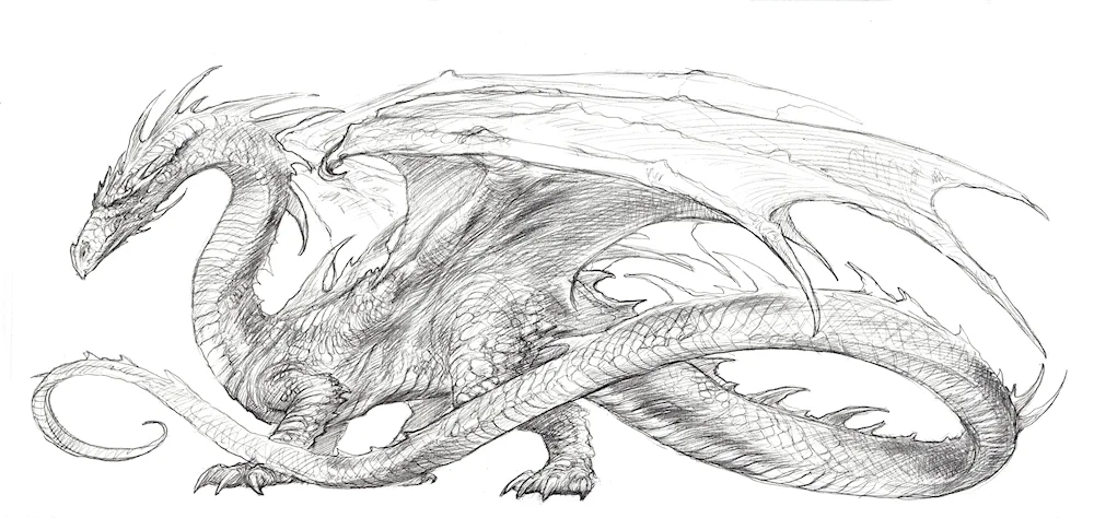 Dragon pencil drawing