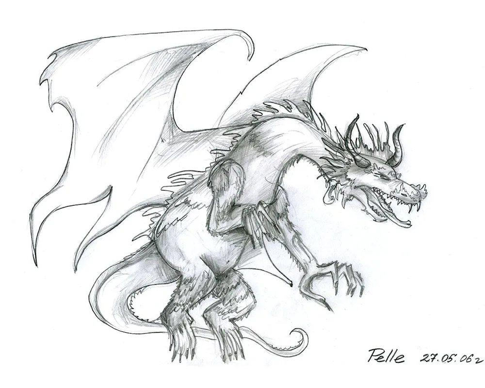 Dragon pencil drawing