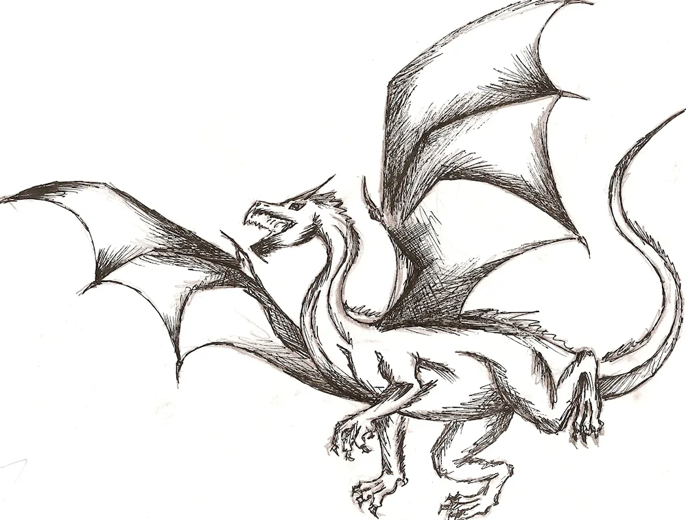 Dragon pencil drawing