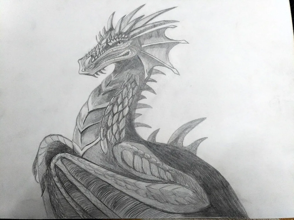 Dragon pencil drawing