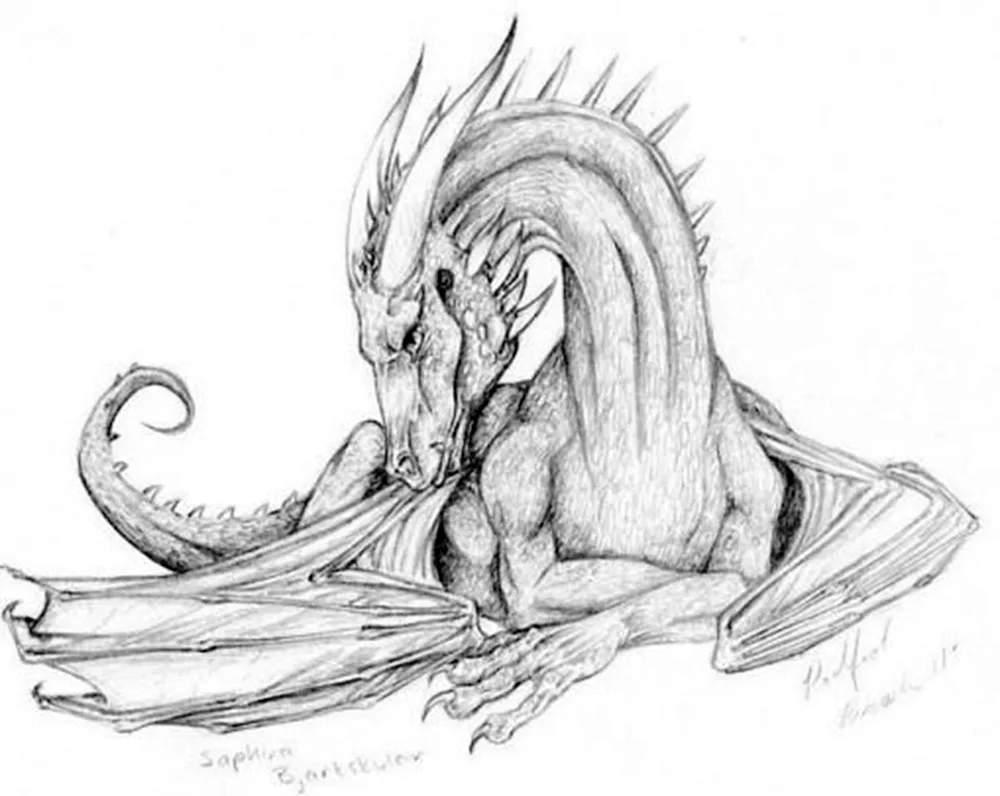 Dragon pencil drawing