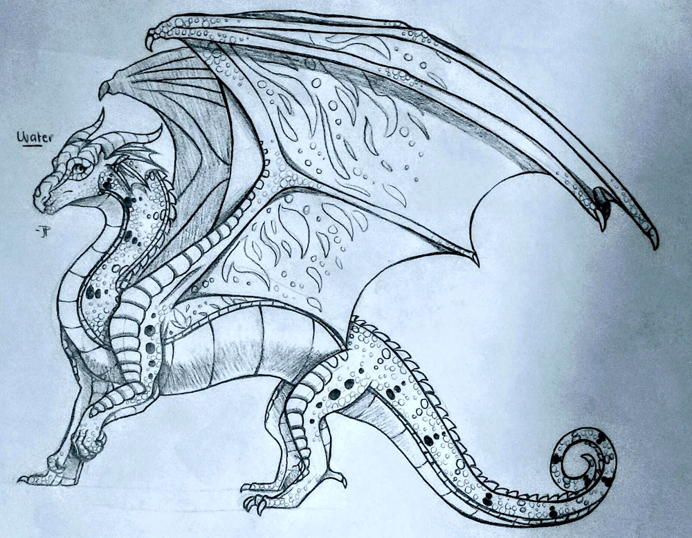 Dragon pencil drawing