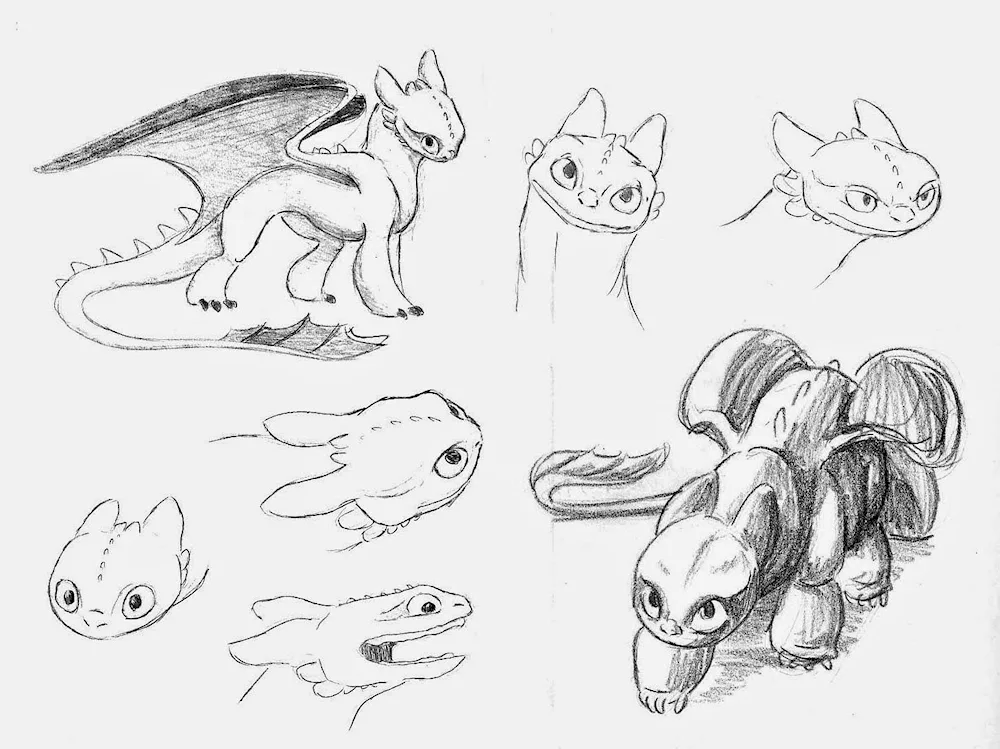 Toothless dragon pencil drawing for drawing