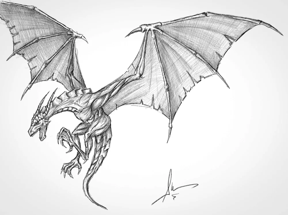 Dragon sketch