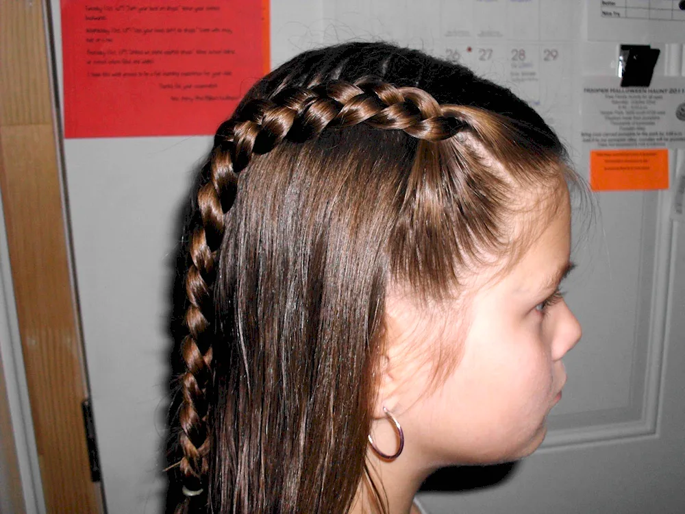 Braiding braids