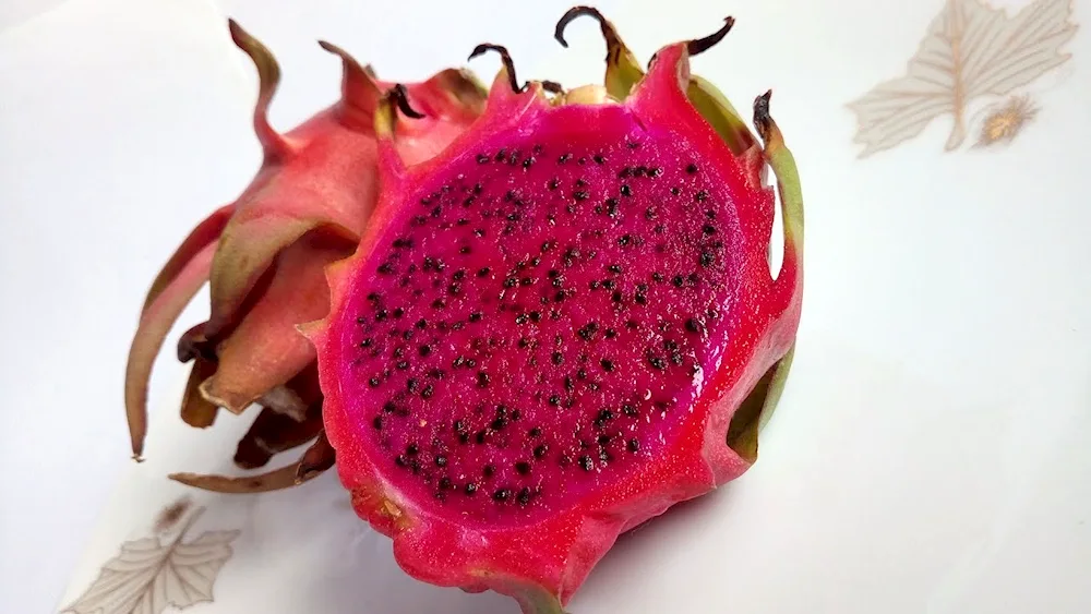Pitahaya Dragon fruit