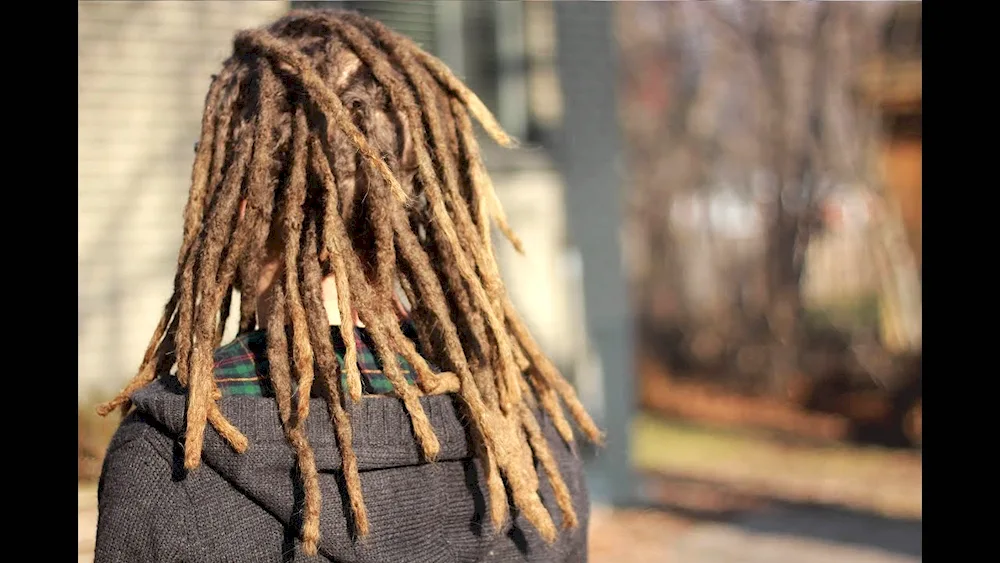 Morgenstern dreadlocks 2022