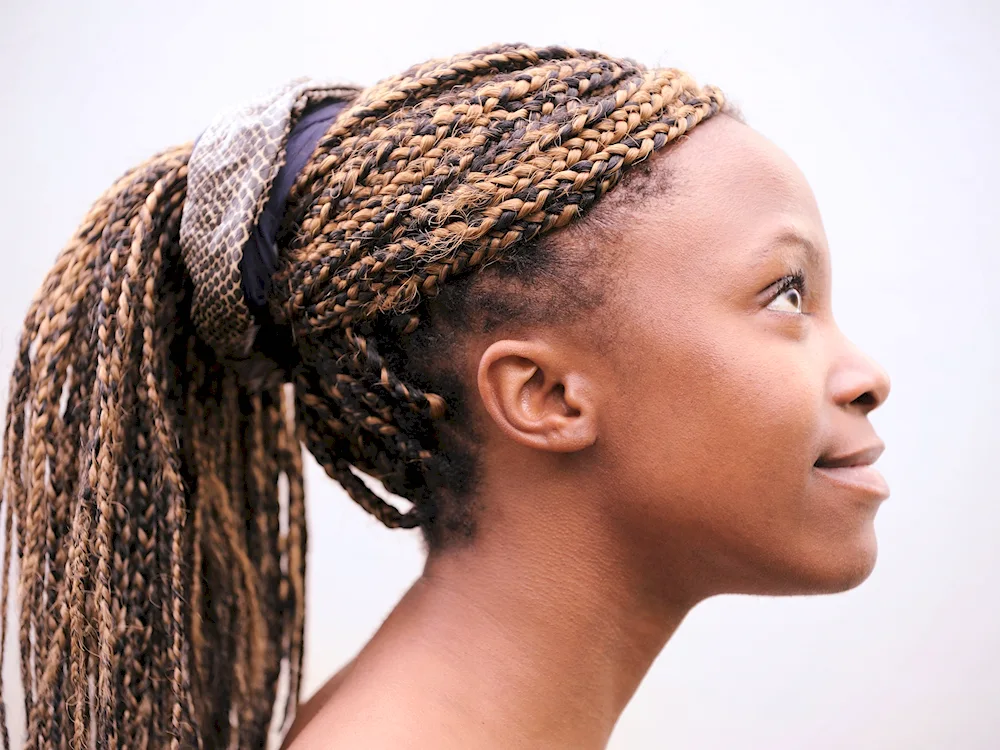 Dreadlock braids afro braids afro French Senegalese