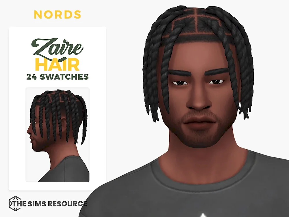 Braids Beckham