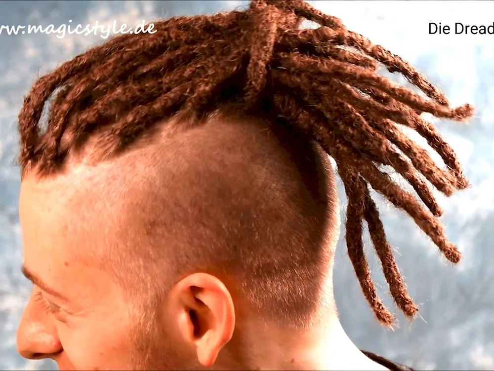 De dreadlocks undercat