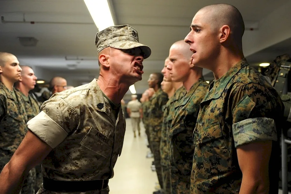 Dolph Lundgren
