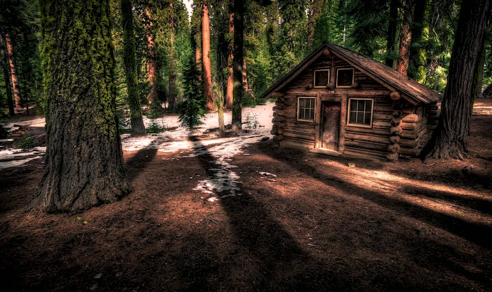 Druskininkai forest hut