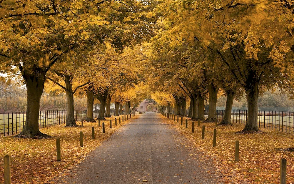 Oak Alley Louisiana