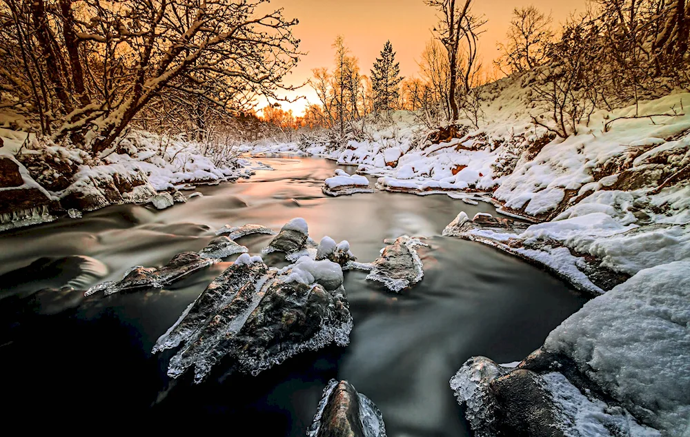 Douglas Preston Winding river