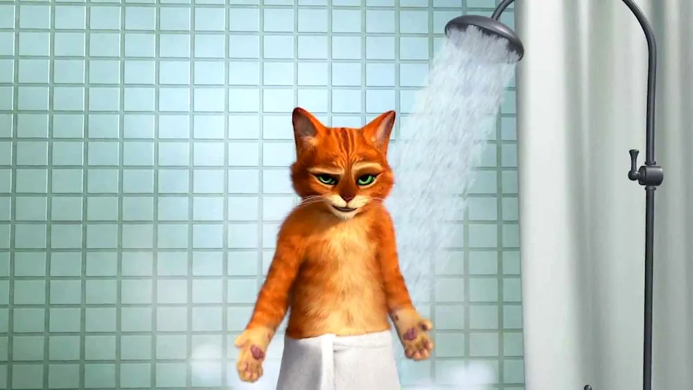 Shower cat