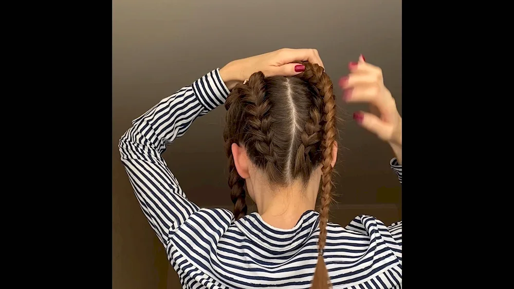 Two buns of braids